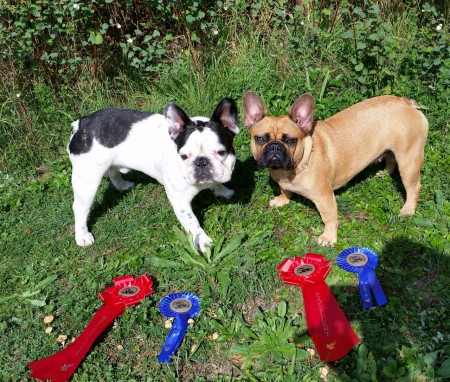 Visby internationella 2014